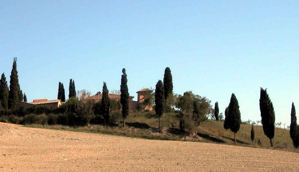 Castello Di Leonina Relais - Adults Only Hotel Siena Bagian luar foto